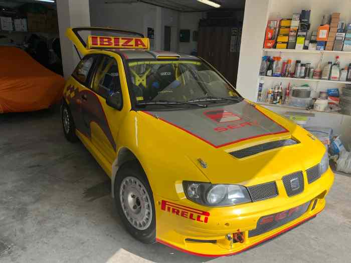 SEAT IBIZA 4×4 WRC EX-FLAVIO ALONSO RE...