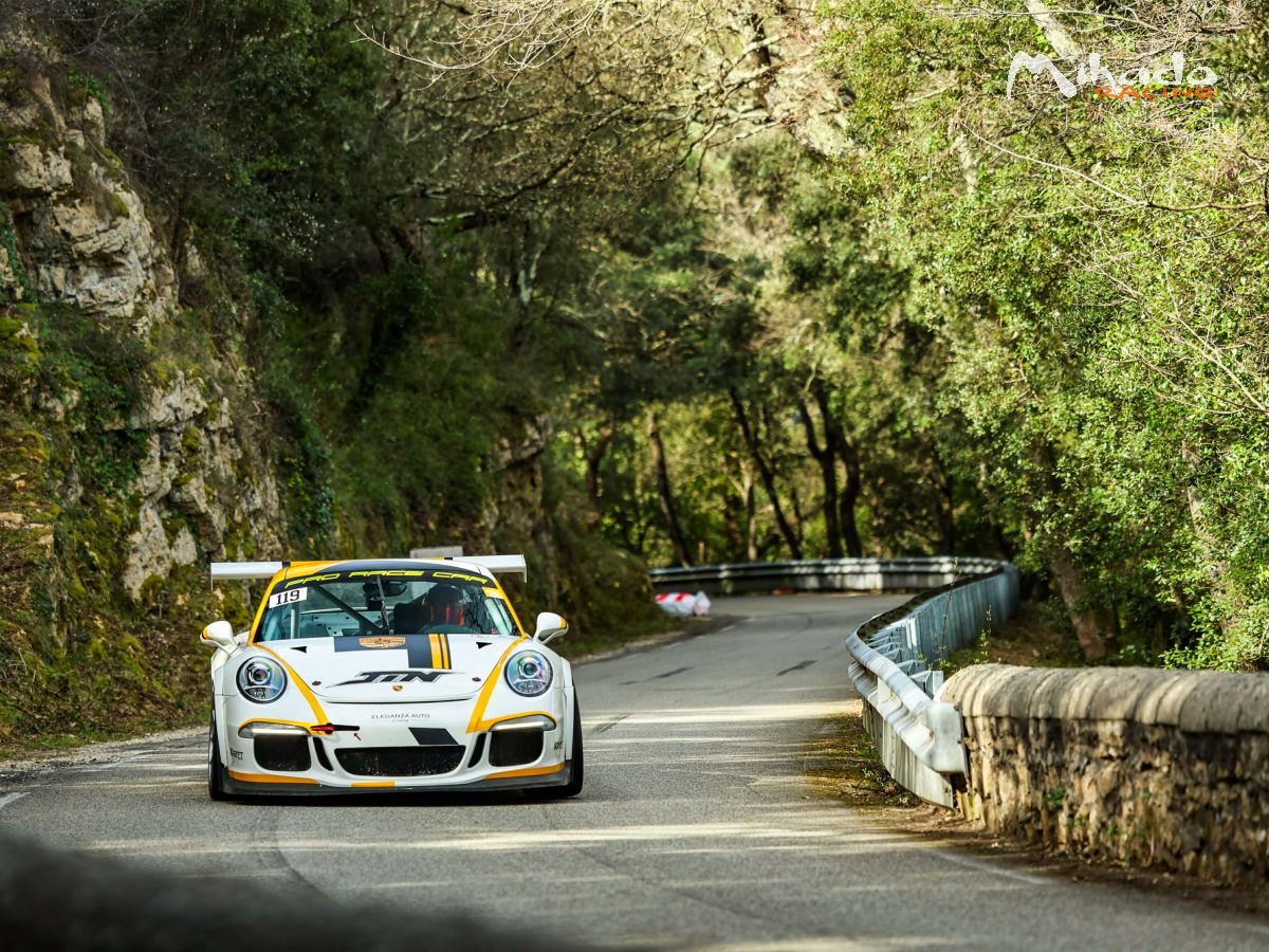 Porsche 991 GT3 CUP 2014 (prix HT) – photo 3 sur 4