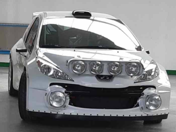 Peugeot 207 S2000 numéro 048 immatriculation DR 304 KW EX PAOLO ANDREUCCI 2