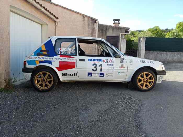 Peugeot 205 GTI FRally Nat 1