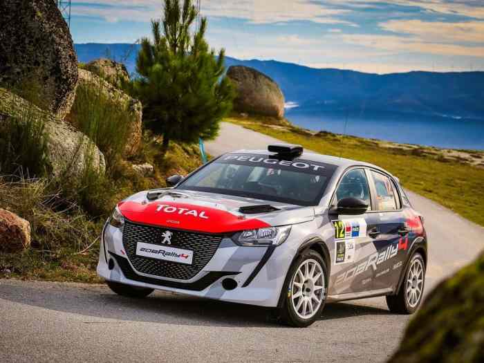 FT2L LOUE 208 RALLY4 FULL EVOS