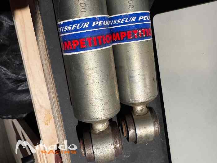 Amortisseurs Peugeot Sport 306 s16 1
