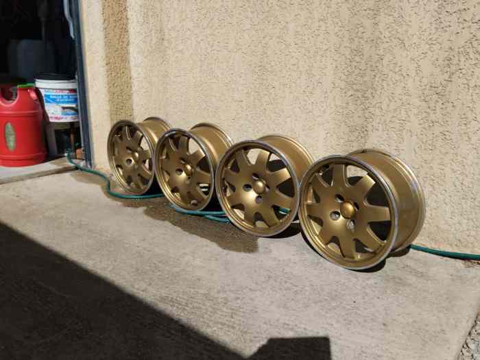 JANTES CLIO WILLIAMS 1