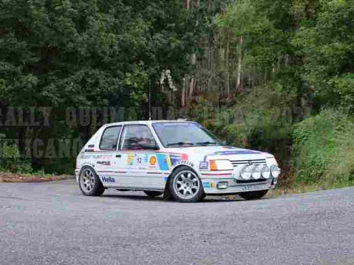 Peugeot 205 Gti Gr.A 5