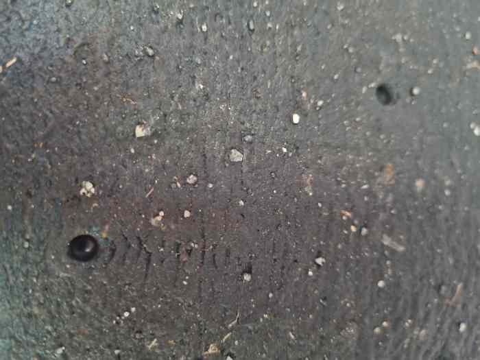 Pneus pirelli Avon pour monoplace 5