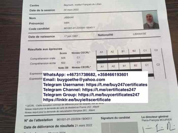 WhatsApp: +46731738682) Buy IELTS certificate, Buy Goethe-Telc a1, a2, b1, b2, c1, c2 certificate, Buy TEF, TCF Certificates 4