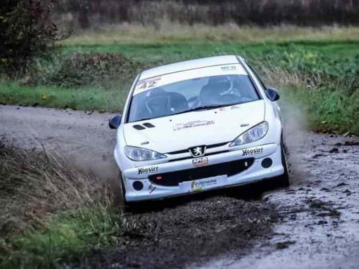 206 f2013