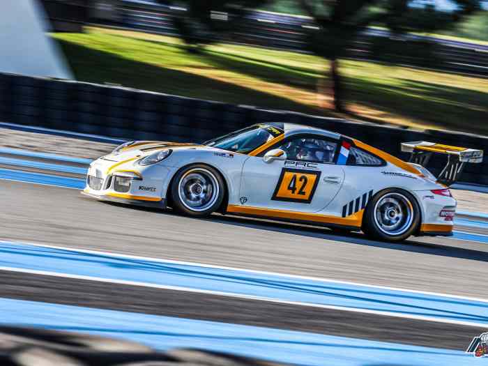 Porsche 991.1 GT3 CUP 2014 2