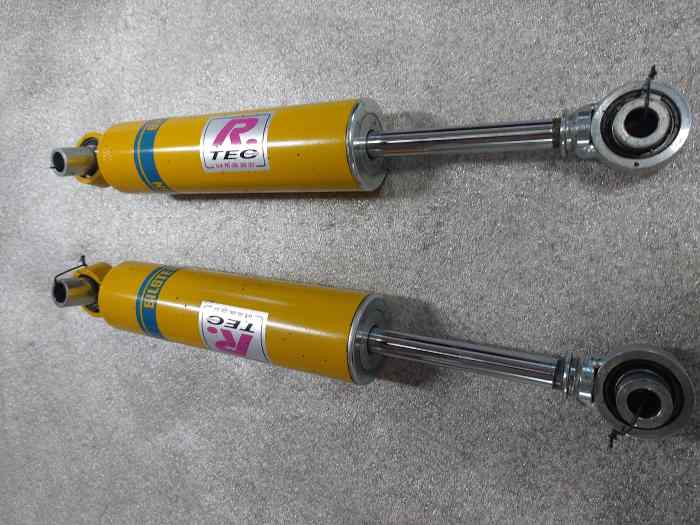Amortisseurs 206 bilstein rotulé 2