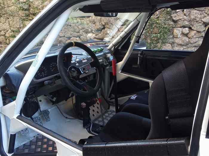 Peugeot 205 GTI FRally Nat 2
