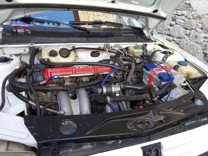 Peugeot 205 GTI FRally Nat 3