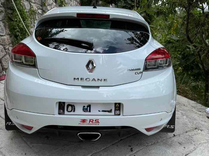 Mégane 3 RS Cup 1