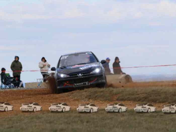 Vends 206 RC A7 TERRE 2