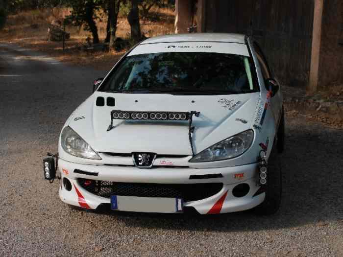 Peugeot 206 RC Groupe A 7, FRC4 1