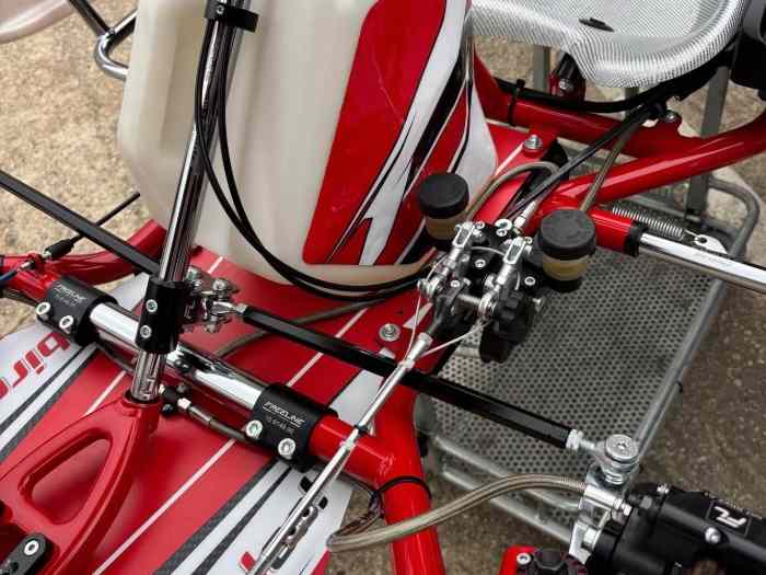 2025 Rotax dd2 birel 2