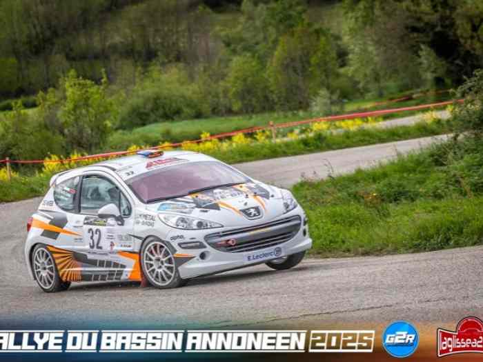 Peugeot 207 A8
