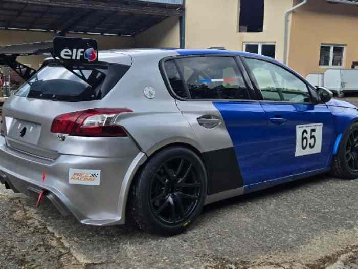 308 Racing Cup 1