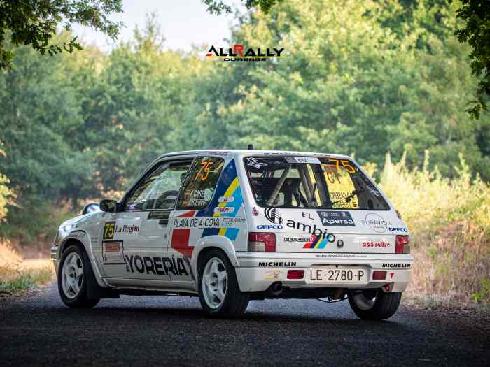 Peugeot 205 Rallye original 1