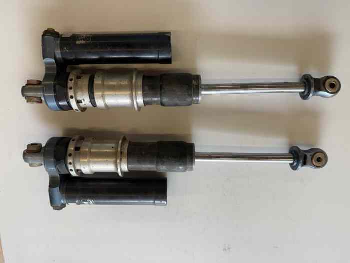 Lot 2 amortisseurs AR Clio S1600 version Asphalte 0