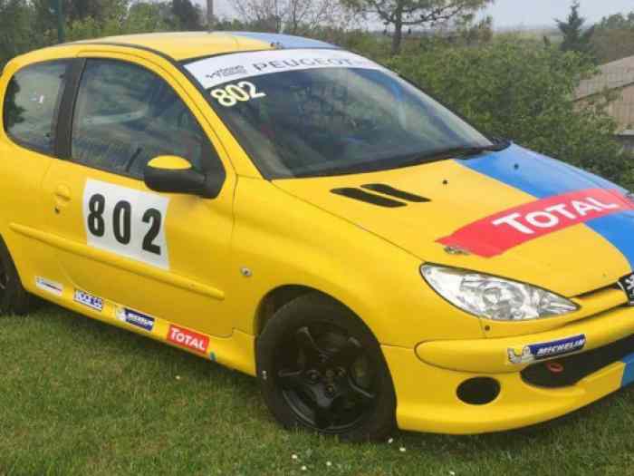 Peugeot 206 Rps Ffsa 2