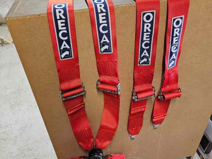 Harnais oreca plus homolgué