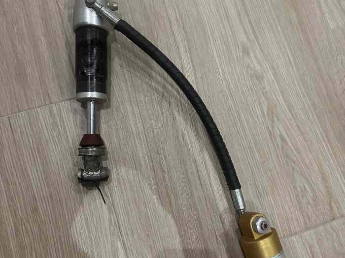 Amortiguador trasero proflex saxo