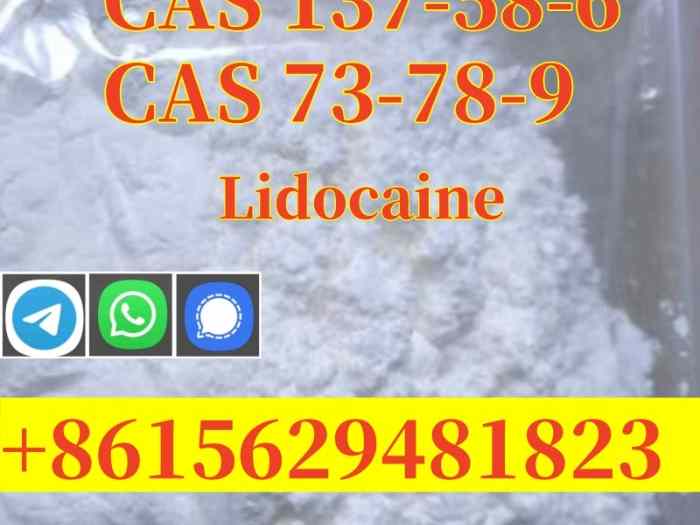 High purity Lidocaine CAS 137-58-6
