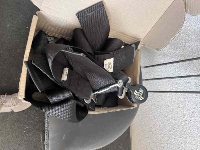 VDS UNE PAIRE HARNAIS PERIMES 1