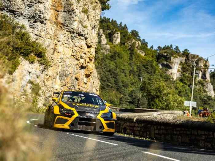 Cupra Leon TCR MK3 DSG