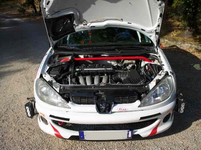 Peugeot 206 RC Groupe A 7, FRC4 4