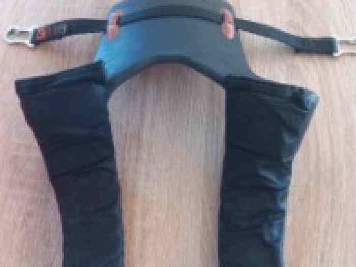 HANS 1
