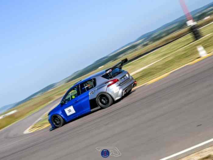 308 Racing Cup 4