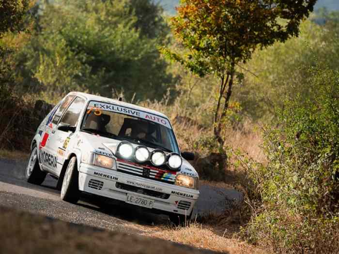 Peugeot 205 Rallye original 0
