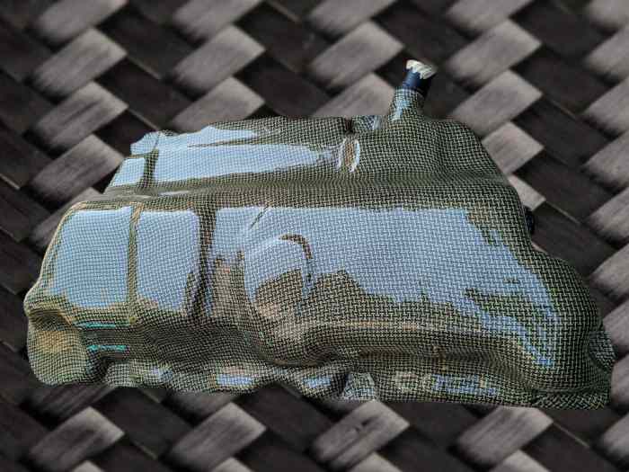 Protector clio 1 0