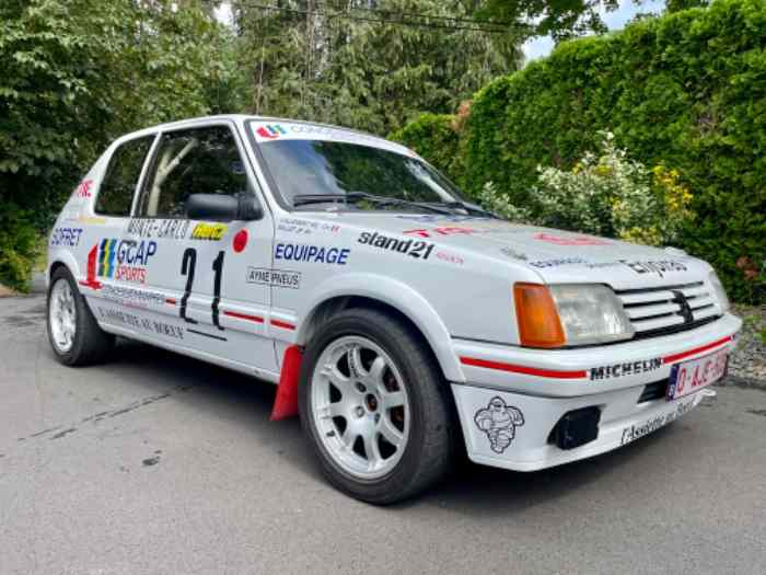 Peugeot 205 gti div1 2