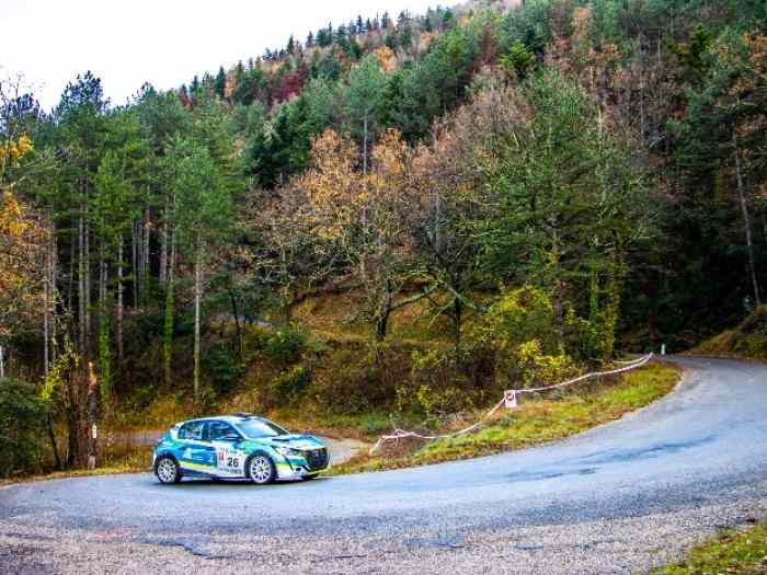 Peugeot 208 rally 4 0