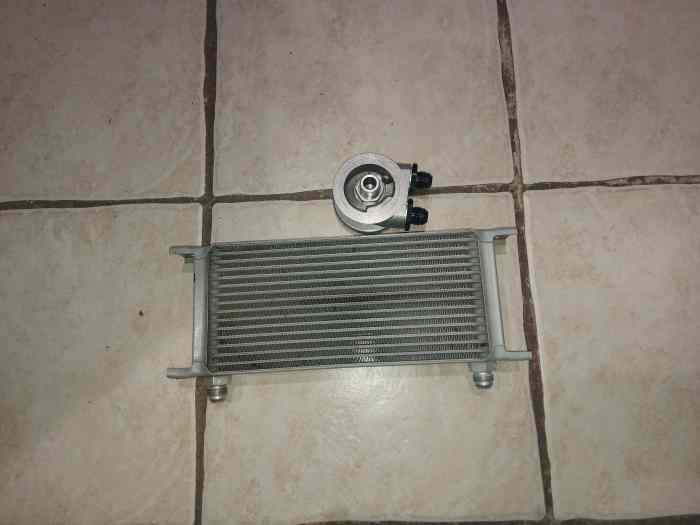 vends radiateur huile Danielson et modine 1