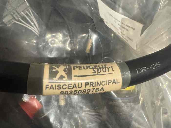 À Vendre - Composants Électriques pour Peugeot 206 Super 1600 3