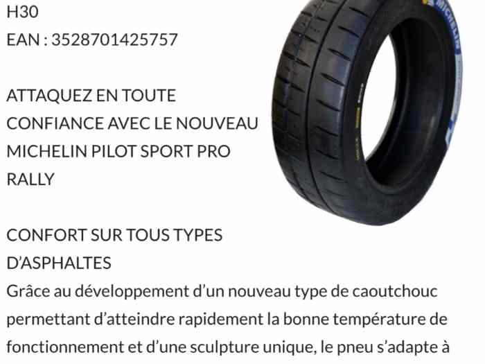 2 pneus Michelin H30 NEUF