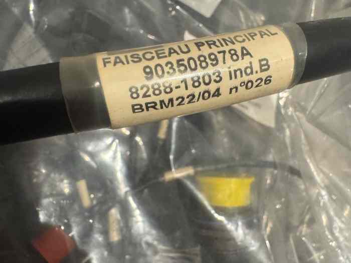 À Vendre - Composants Électriques pour Peugeot 206 Super 1600 2