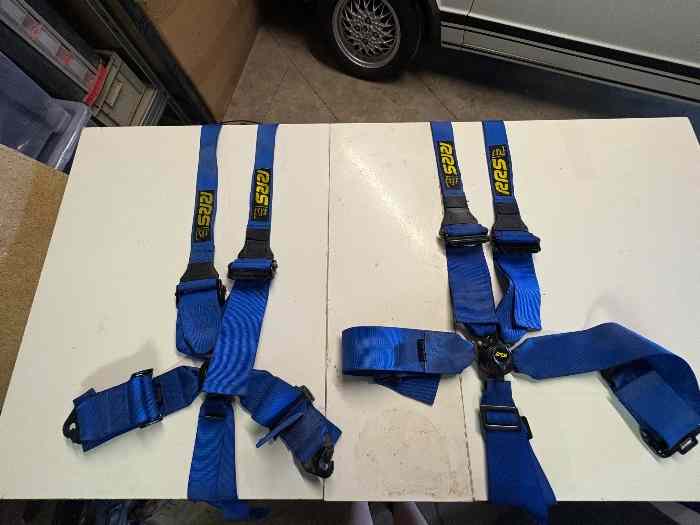 Harnais RRS bleue 6 points plus homologué 1