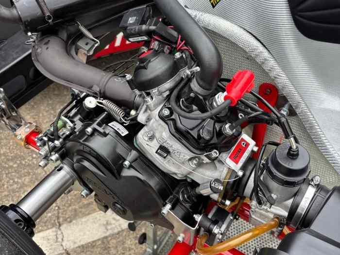 2025 Rotax dd2 birel 1