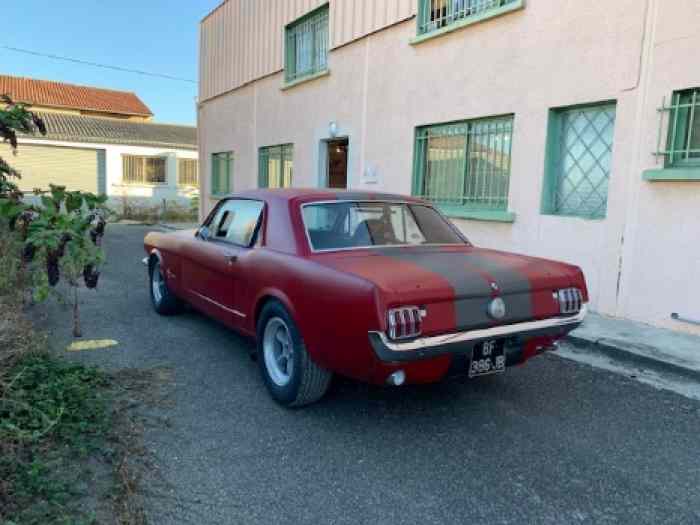 ford mustang fia 1965 1