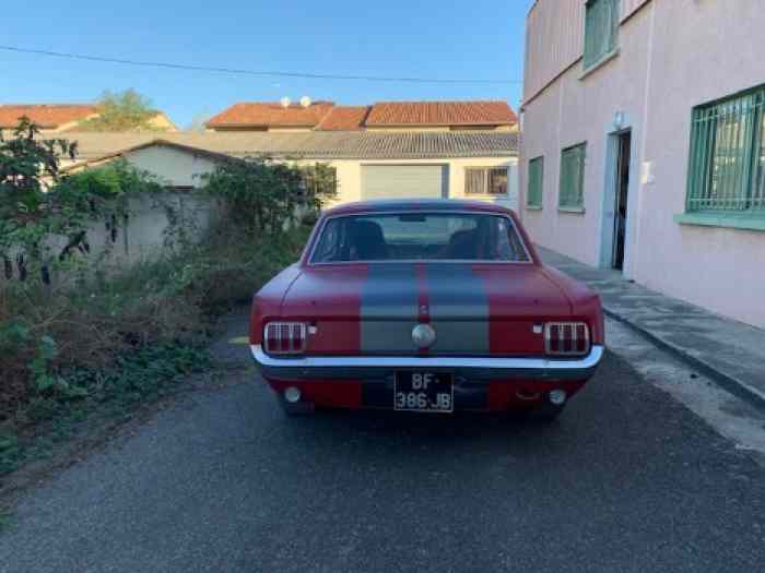 ford mustang fia 1965 3