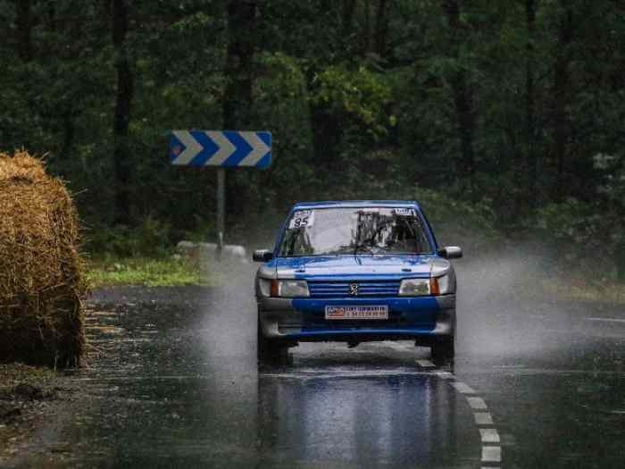 205 gti f2-13 3
