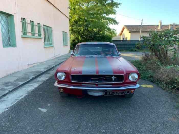 ford mustang fia 1965 5