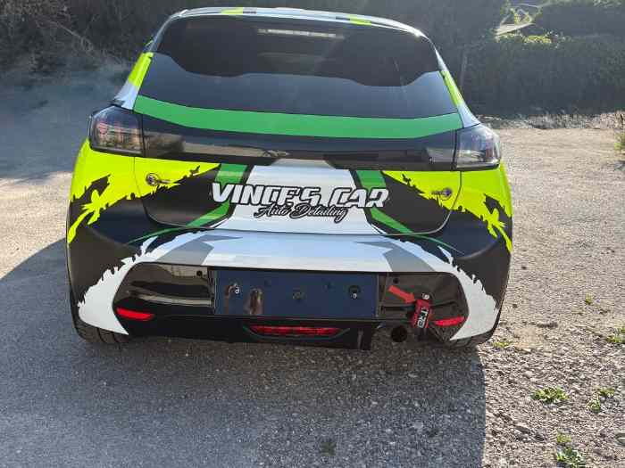 Peugeot 208 rally 4 2