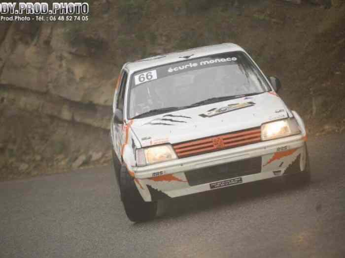 Peugeot 205 f2/14 2