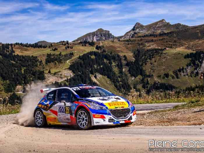 Peugeot 208 T16 accidenté 0
