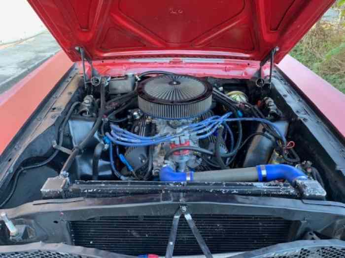 ford mustang fia 1965 2